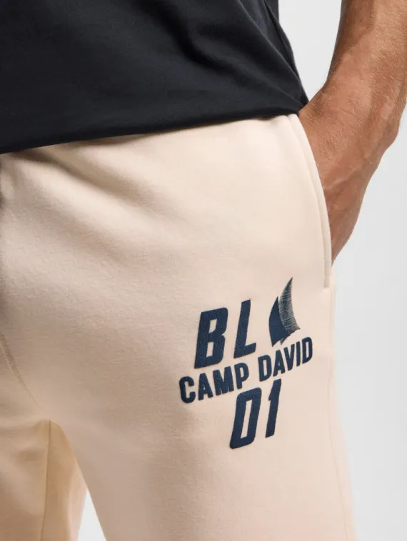 CAMP DAVID Спортивные брюки с объемным принтом